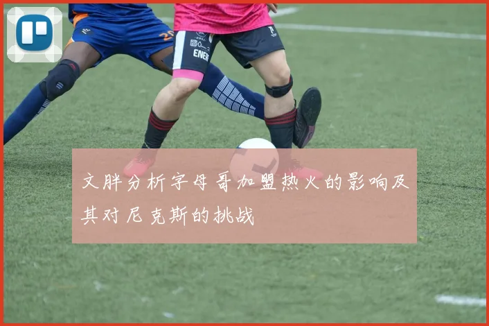 文胖分析字母哥加盟热火的影响及其对尼克斯的挑战